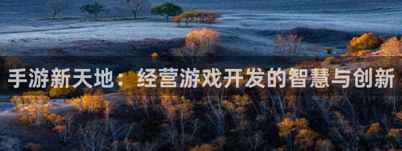 万赢娱乐积分商城：手游新天地：经营游戏开发的智慧与创新