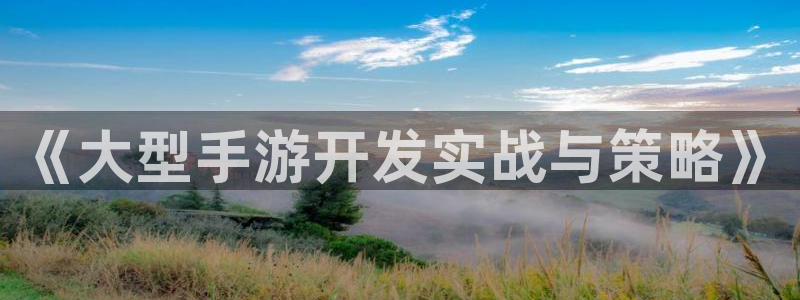 万赢娱乐app平台：《大型手游开发实战与策略》
