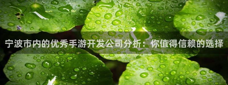 wy万赢娱乐：宁波市内的优秀手游开发公司分析：你值得信赖的选