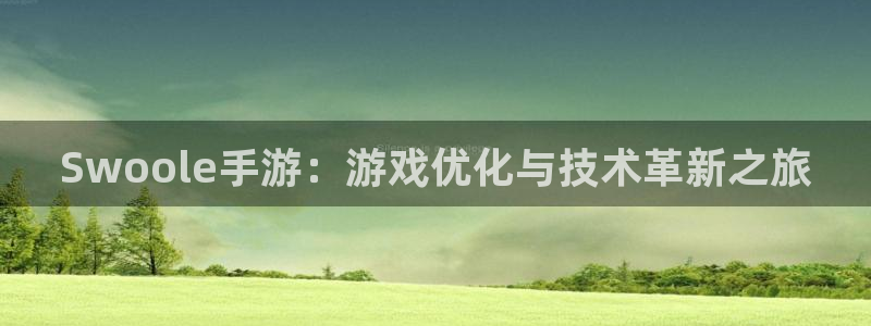 万赢娱乐最新版下载：Swoole手游：游戏优化与技术革新之旅