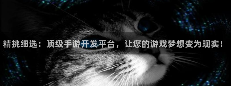 万赢娱乐论坛：精挑细选：顶级手游开发平台，让您的游戏梦想变为