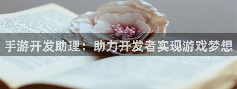 万赢娱乐大转盘：手游开发助理：助力开发者实现游戏梦想