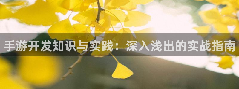万赢娱乐官网首页入口：手游开发知识与实践：深入浅出的实战指南
