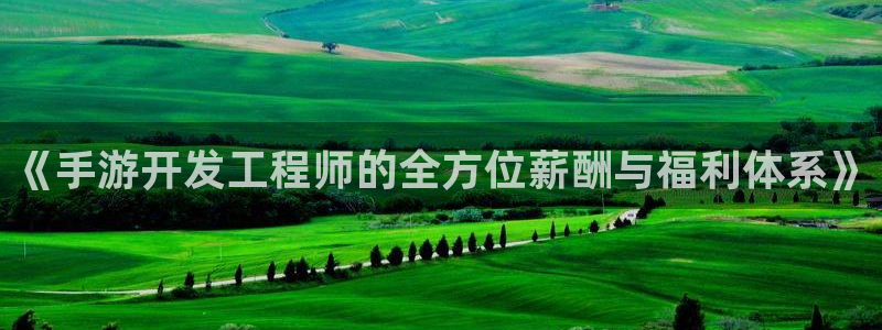 万赢娱乐传媒公司：《手游开发工程师的全方位薪酬与福利体系》