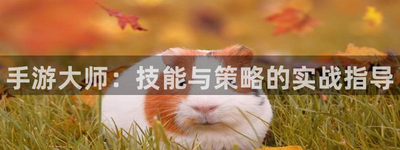 万赢娱乐wy8228在线登录界面：手游大师：技能与策略的实战
