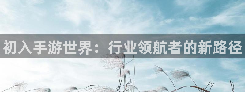 万赢娱乐的官方地址：初入手游世界：行业领航者的新路径
