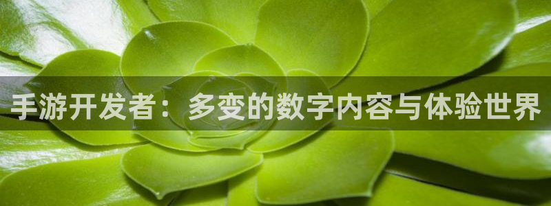 万赢娱乐情感客服：手游开发者：多变的数字内容与体验世界