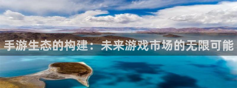 万赢娱乐最新网站：手游生态的构建：未来游戏市场的无限可能