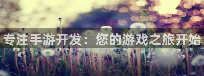 万赢娱乐积分商城：专注手游开发：您的游戏之旅开始