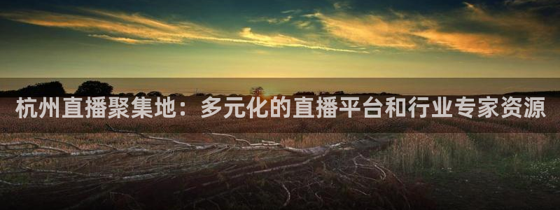 搜球吧nba在线直播：杭州直播聚集地：多元化的直播平台和行业专家资源