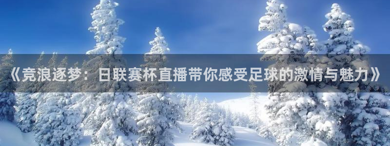 搜球吧体育直播：《竞浪逐梦：日联赛杯直播带你感受足球的激情与魅力》