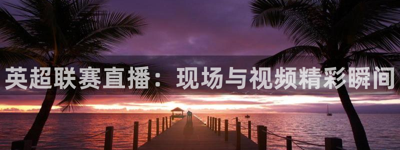 搜球体育直播app：英超联赛直播：现场与视频精彩瞬间