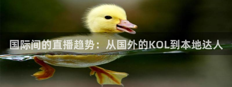搜球吧直播 在线观看：国际间的直播趋势：从国外的KOL到本地达人