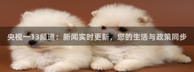 搜球吧直播网：央视一13频道：新闻实时更新，您的生活与政策同步