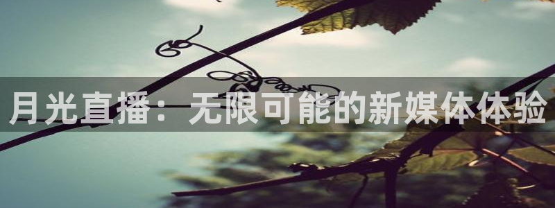 搜球直播：月光直播：无限可能的新媒体体验